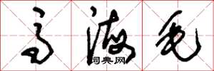 刘少英马海毛草书怎么写