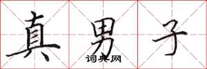 田英章真男子楷书怎么写
