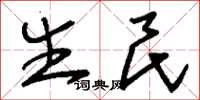 刘少英生民草书怎么写