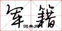 段相林军籍行书怎么写