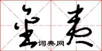 刘少英金夷草书怎么写