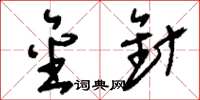 刘少英金针草书怎么写