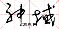 刘少英神域草书怎么写