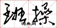 刘少英班操草书怎么写