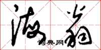 刘少英海翁草书怎么写