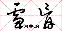 刘少英雪盲草书怎么写
