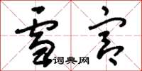 刘少英雪宫草书怎么写