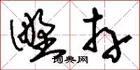 刘少英野卉草书怎么写