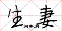 段相林生妻行书怎么写