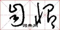 刘少英自怡草书怎么写