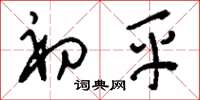 刘少英初平草书怎么写