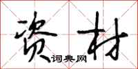 段相林资材行书怎么写