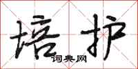 段相林培护行书怎么写