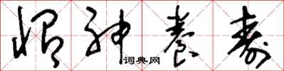 刘少英怡神养寿草书怎么写