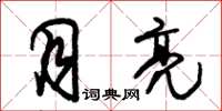 朱锡荣月亮草书怎么写
