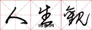 朱锡荣人生观草书怎么写
