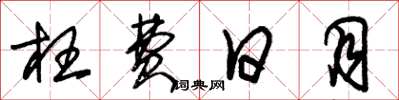 朱锡荣枉费日月草书怎么写
