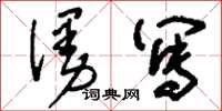 刘少英漫写草书怎么写