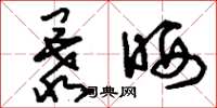 刘少英暴晒草书怎么写