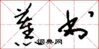刘少英蕉书草书怎么写