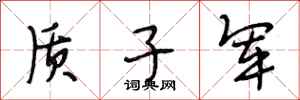段相林质子军行书怎么写