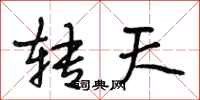段相林转天行书怎么写