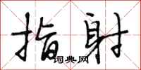 段相林指射行书怎么写