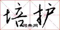 钱沛云培护行书怎么写