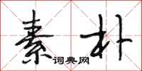 段相林素朴行书怎么写