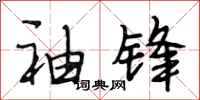 段相林袖锋行书怎么写