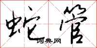 钱沛云蛇管行书怎么写