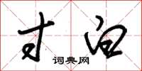 朱锡荣寸白草书怎么写