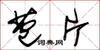 朱锡荣苞片草书怎么写