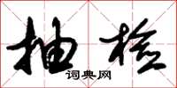 朱锡荣抽检草书怎么写