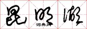 朱锡荣昆明湖草书怎么写