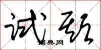 朱锡荣试期草书怎么写