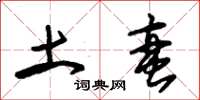 朱锡荣土蛮草书怎么写