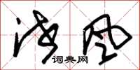 朱锡荣泄风草书怎么写