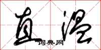 朱锡荣直温草书怎么写