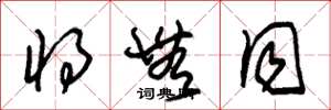 朱锡荣将无同草书怎么写