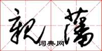 朱锡荣亲藩草书怎么写
