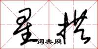 朱锡荣星拱草书怎么写