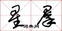 朱锡荣星群草书怎么写