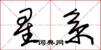 朱锡荣星系草书怎么写