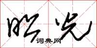 朱锡荣昭光草书怎么写