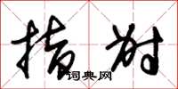 朱锡荣指射草书怎么写