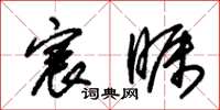 朱锡荣宸瞩草书怎么写