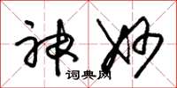朱锡荣神妙草书怎么写