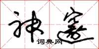 朱锡荣神邃草书怎么写