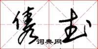 朱锡荣隽武草书怎么写